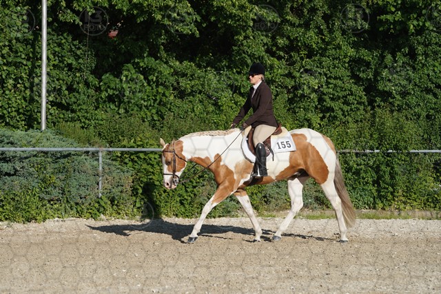 sA9K05884.JPG